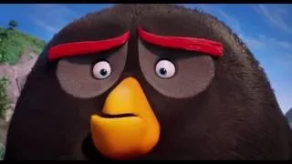 "Angry Birds в кино" Чему научились на занятиях
