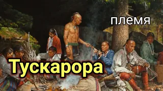 Индейцы , Тускарора