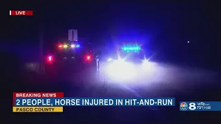 2 people, horse injured in hit-and-run crash in Pasco Co.