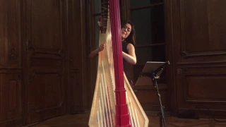 Lavinia Meijer: Etude n°16 (Philip Glass) Harp Paris 2017