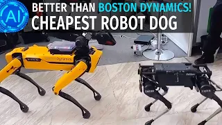 Cheapest Robot Dog - UNITREE ROBOTICS: Boston Dynamics Spot Alternative