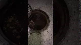Full sewer manhole