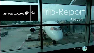 Special #206 TRIP REPORT | Air New Zealand (Economy Class) | Boeing 787-9 | Singapore - Auckland