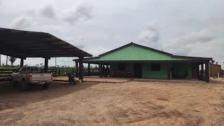 Fazenda de 260 Alqueires / Com 130 de Capim / São Félix do Xingu - Pará