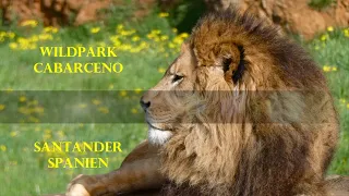 Wildpark Cabarceno   Santander Spanien