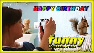 🔴 SQUiRREL PARTY • HAPPY BiRTHDAY ALEXANDRA & VALENTiNA • EiCHHÖRNCHEN - белочка - CATs