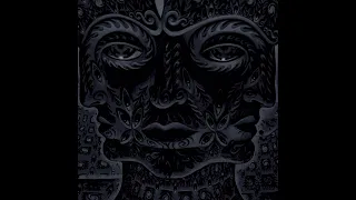 Tool - 10,000 Days [COMPLETE HIDDEN EASTER EGG TRACK DONE CORRECTLY]