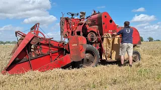 Vintage Harvest at Little Ellingham show Norfolk . Saturday 12th August 2023.