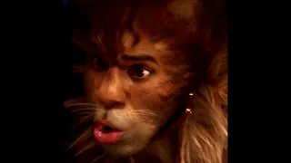 The Rum Tum Tugger but Jason Derulo won't stop saying his name