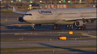 Incredible Lufthansa Airbus A340 heavy Crosswind 🤩 Landing #pilot #planespotting #closeup #cockpit