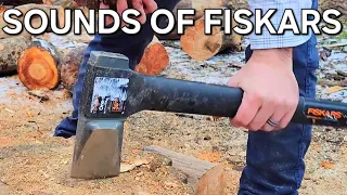 Suburban Wood Splitting ASMR [Fiskars X27 VS Ash and Apple]