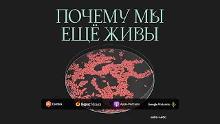 Показать всё, что скрыто: кто придумал рентген, КТ, УЗИ и МРТ | Подкаст Почему мы ещё живы