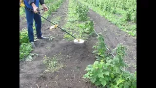 Як позбавитись бур'яну. Прополка городу. Бензосапалка.