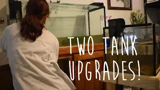 Upgrading my AXOLOTL and GOLDFISH! | July - Sept