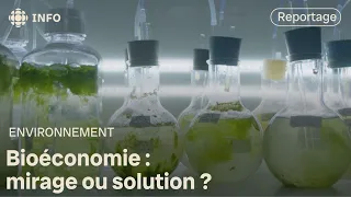 Bioéconomie : mirage ou solution aux maux de la planète?