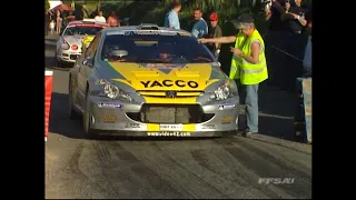 Championnat de France des rallyes asphalte 2007