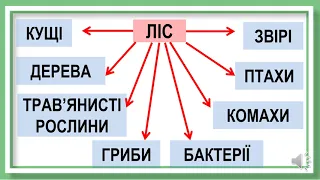 Природні угрупування  Ліс