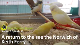 The Canary Room Season 5 Ep16 - A post breeding season visit to Norwich canary expert Keith Ferry