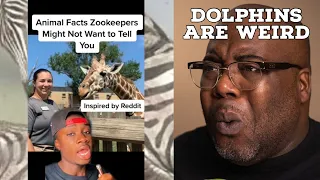 Animal Secrets Zoos Don’t Want You To Know | Casual Geographic Reaction