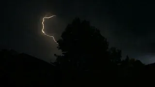 Real Thunderstorm Sounds Atmosphere for Sleeping and Relaxing   Real Lightnings behind the tree
