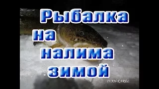 Рыбалка на налима зимой Часть #1-2 Полный фильм🦈 Fishing for burbot in winter, Part #1-2 Full movie