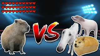 Giant Capybara vs All Dogs! Meme battle