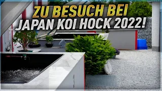 Zu Besuch bei Japan Koi Hock 2022 !