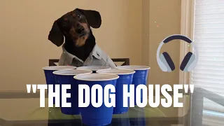 Welcome to The Dog House [Music Video]