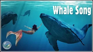 Life as a Mermaid ▷ Season 4 | Episode 4 - "Whale Song"