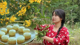 【二米炊烟】Osmanthus 收集秋天的桂花，做傳統中秋美食: 桂花糕&冰皮月餅&桂花酒...