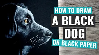 How to Draw on Black Paper - Black Dog Pitt Pastel Pencil Tutorial