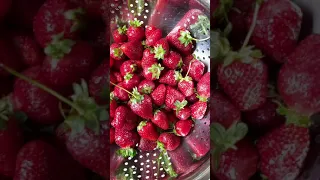 How to freeze fresh strawberries correctly (simpler and easier than you think) #shorts