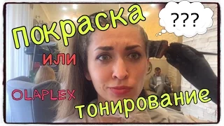 Крашу Волосы. Первый Раз в Жизни. OLAPLEX мой отзыв.Окрашивание седых волос. Тонирование