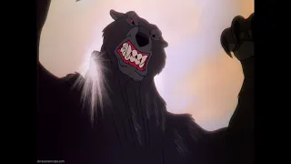 Grey Grizzly Bear (the Fox and the Hound) Sounds