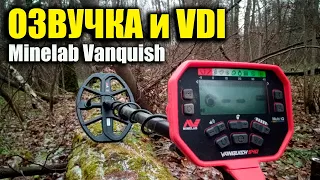 Minelab Vanquish ОЗВУЧКА и VDI тест на разные ЦЕЛИ