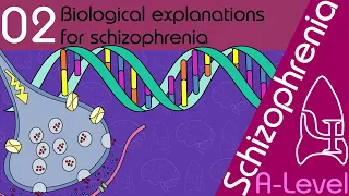 Biological Explanations for Schizophrenia [AQA ALevel]