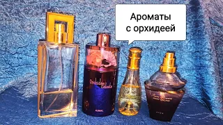 🌺Мои ароматы с нотой орхидеи🌺