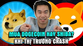 Giữa Dogecoin & Shiba Inu | Nên chọn mua coin nào khi thị trường đang dip?