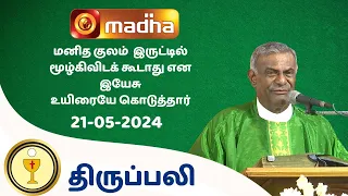 🔴21 May  2024 Holy Mass in Tamil 06:00 PM (Evening Mass) | Madha TV