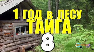 ДИКИЙ ГОД В ГЛУХОЙ ТАЙГЕ | СПАСАТЕЛЬНАЯ ОПЕРАЦИЯ | КАК ДОБЫВАЮТ КЕДРОВЫЕ ОРЕХИ | МЕДВЕДЬ 8 из 14