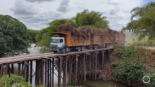 CANAVIEIROS PASSANDO NA PONTE DA USINA CAMARAGIBE!!!