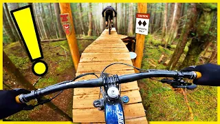 These Canadian Trails Are Absolutely Next Level!! 👌 Powell River BC