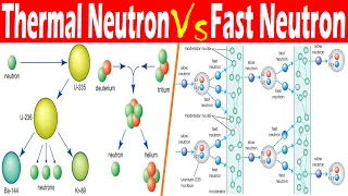 Differences between Thermal Neutron and Fast Neutron.