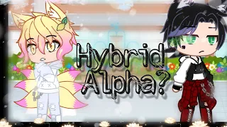 •Hybrid Alpha?•//GCMM PART 1 S2//BL/GAY