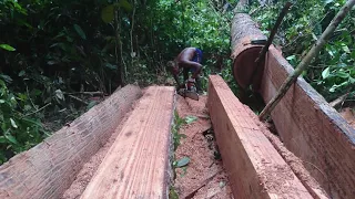 Tehnik tercepat buat papan kayu meranti dorong | gergaji mesin chainsaw stihl 070