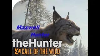 The hunter call of the wild  Брильянты и Великие за Февраль