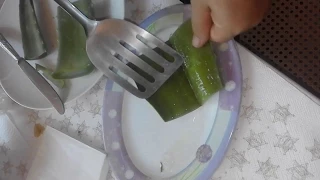 preparazione crema aloe vera