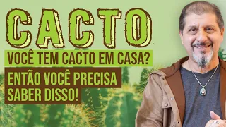 CACTOS - Não tenha CACTO em casa antes de saber disso... Segredo Ancestral | Xamanismo em Você 257