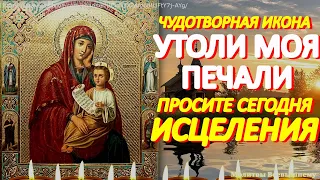 Сегодня в день иконы Богородицы "Утоли моя печали" просите исцеления. Молитва имеет невероятную силу