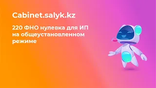 220 фно нулевка для ИП на общеустановленном режиме